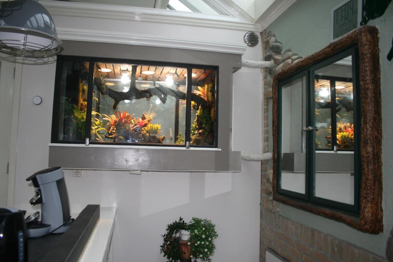 The Butterfly Luxe Appartement Met Private Parking Zandvoort Exterior photo